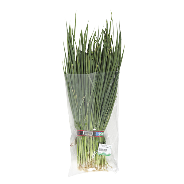 국내산 실파 500g  1단