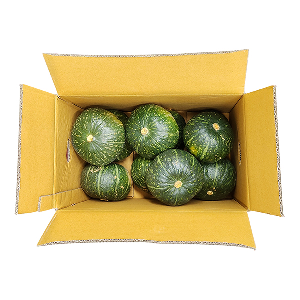 국내산 단호박(특) 10kg (7-12입)