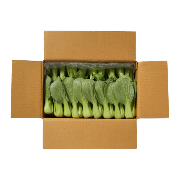국내산 청경채(특) 4kg  박스